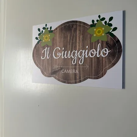 Ca' Dei Gelsi B & B Coriano Exterior foto
