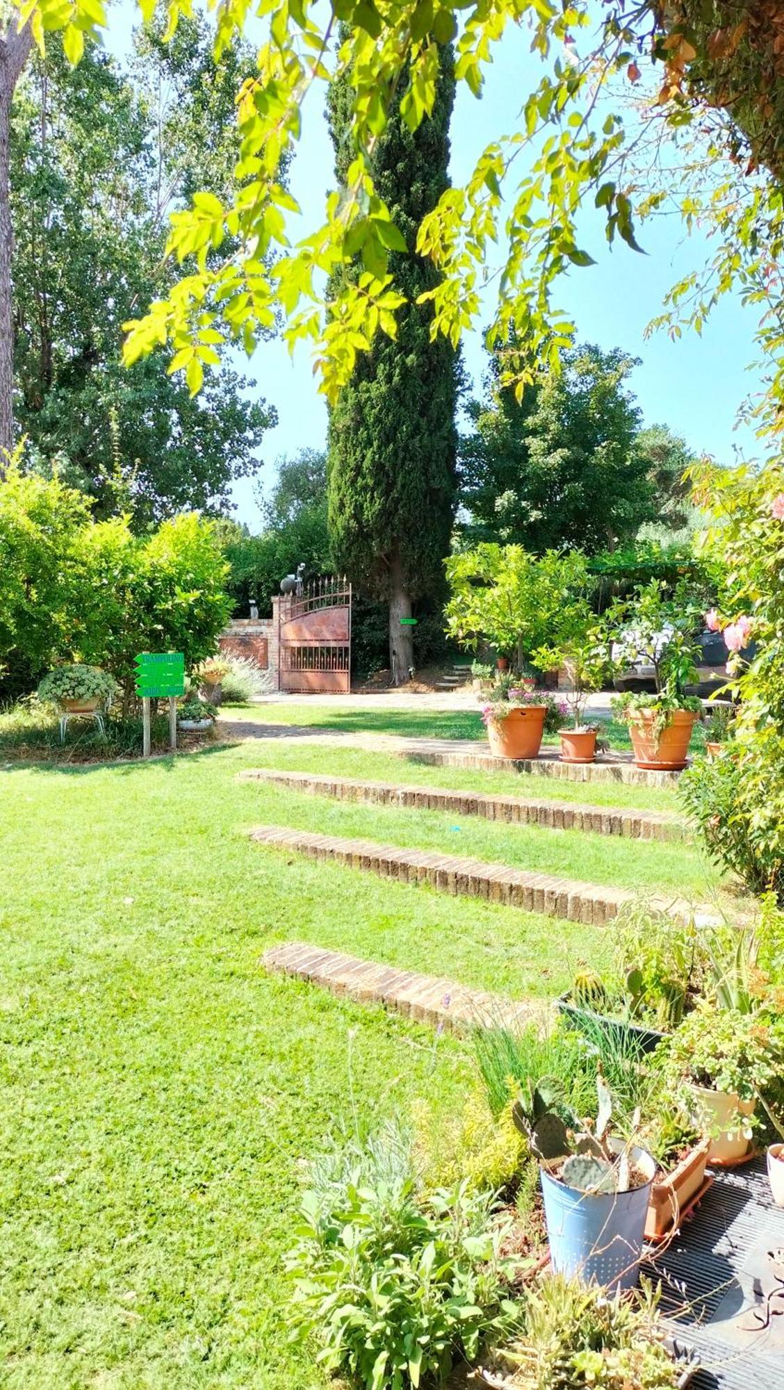 Ca' Dei Gelsi Bed and breakfast Coriano