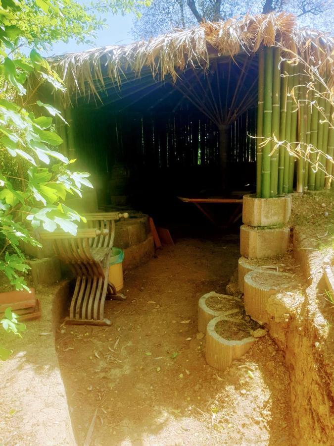 Ca' Dei Gelsi Bed and breakfast *